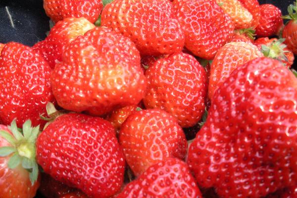 2004年属猴人的命运走势