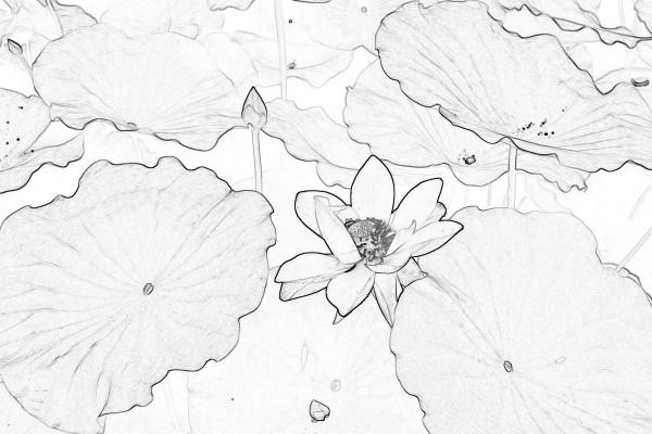 2025属马的要躲着谁