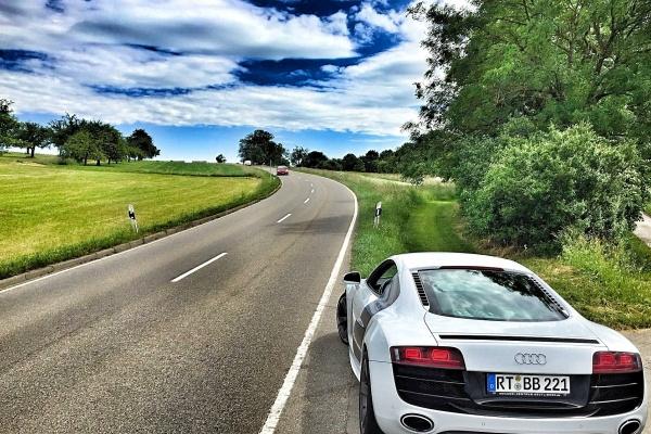 属马人能养乌龟吗