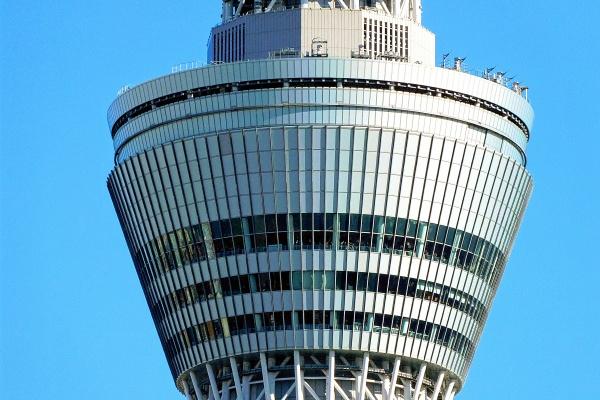 2025年95年属猪人的运势