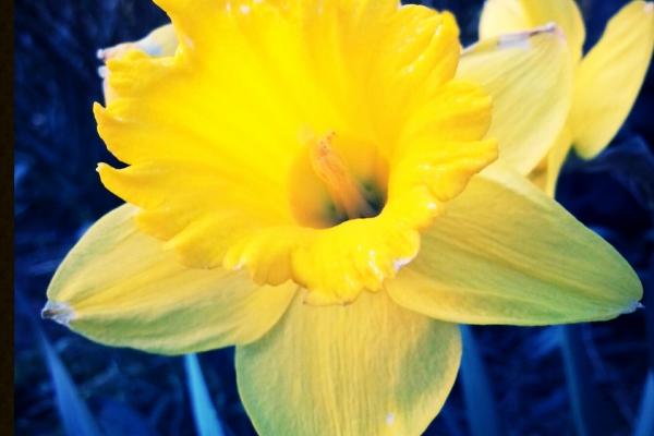 1991属羊转折点在哪一年