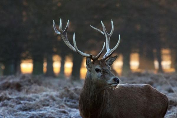 2025是火年还是水年，2025年是什么年