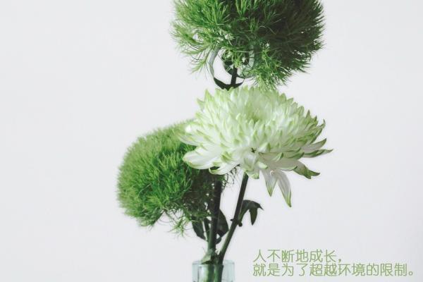 1986属虎的大运年是哪一年