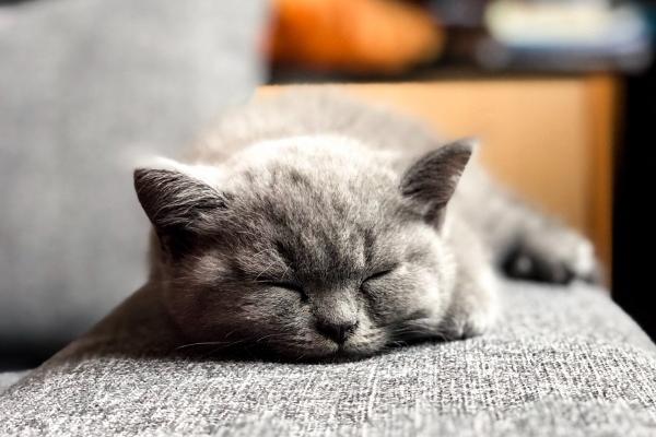 61年属牛何时走大运