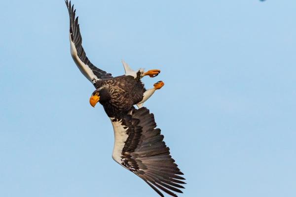 属兔的文昌位在哪个方向，有利属兔人的学习方位在哪