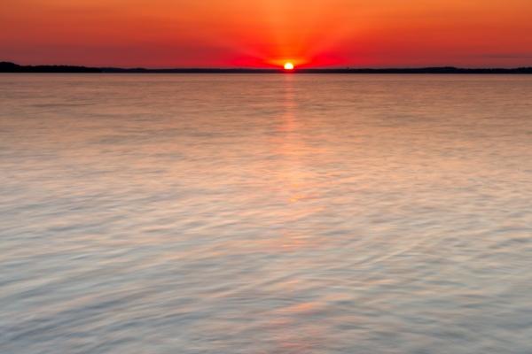 2025年94年狗人运程