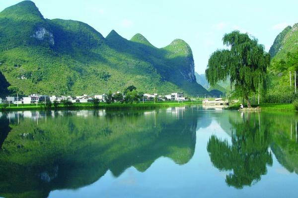 1982年属狗女哪年运势最好