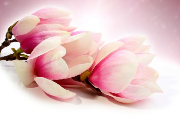 76年龙女老了依靠谁