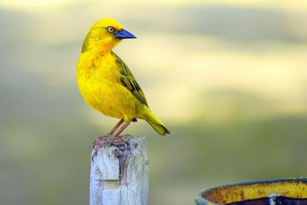 属龙女享谁的福