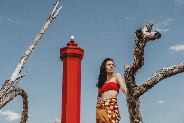 属兔的幸运数字