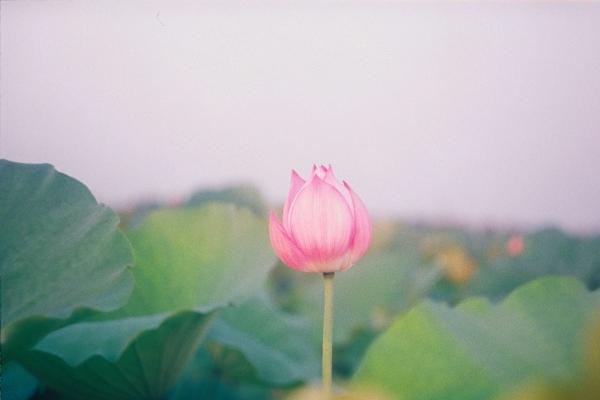 梦到了别人变老是好是坏