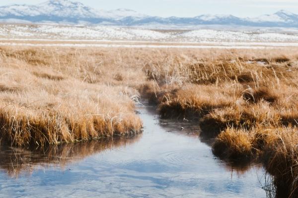 梦见建院墙有什么预兆