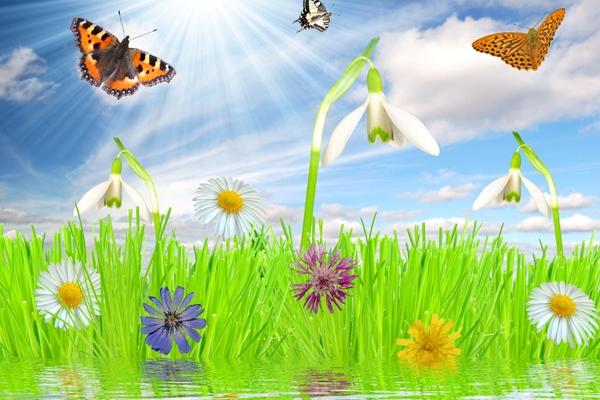 梦见黑小狗怎么说