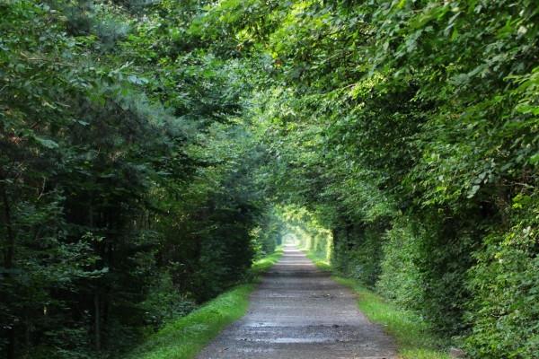 梦到了打别人巴掌有什么意义吗