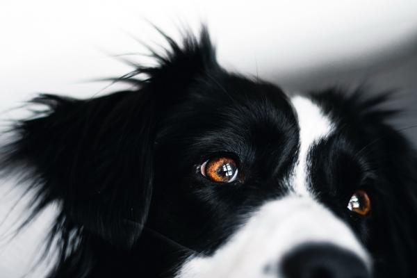 梦见金钱纠纷什么预兆