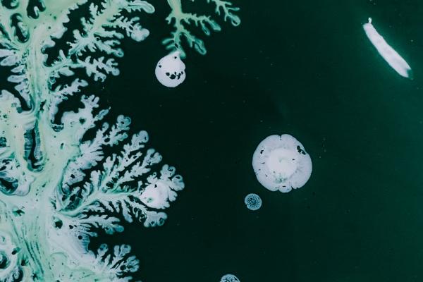 梦见大摆锤有什么说法