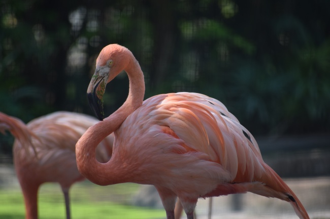 梦到写收据是什么启示
