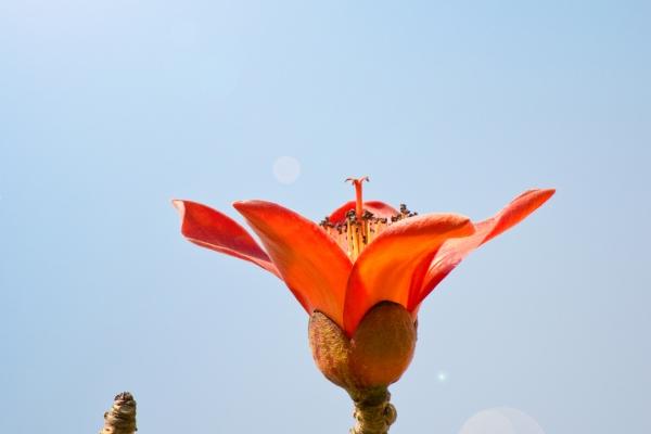 梦见豪华厕所是什么预兆