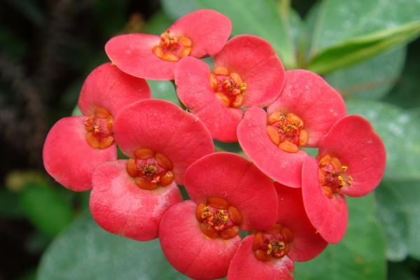 梦到找餐厅是吉兆吗?