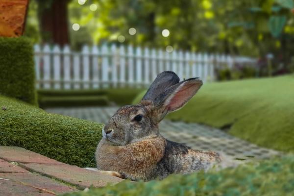 2025年4月哪天祭祀好日子