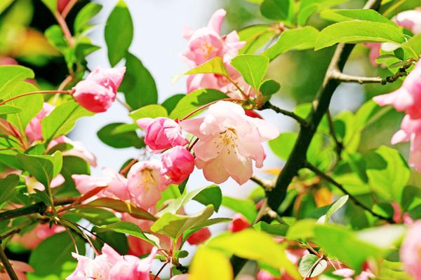 梦到了别人买新房预示什么