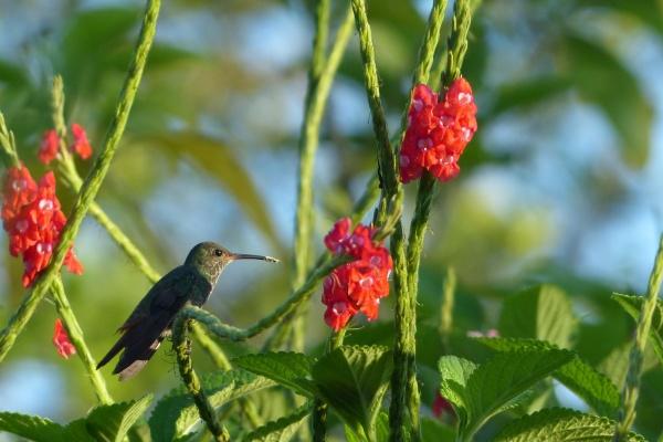 梦到了女人进屋意味着什么