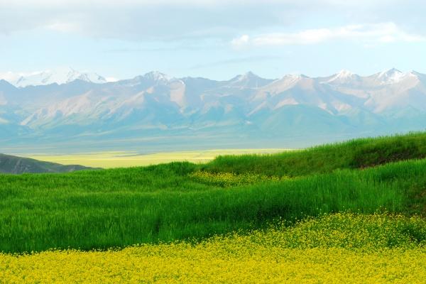 梦见被老人骂意味着什么
