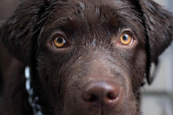 梦到开窗通风是不是好的征兆呢