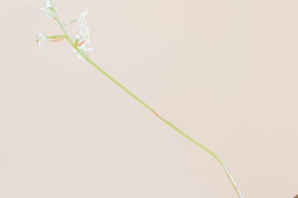 梦到被人说闲话是怎么回事