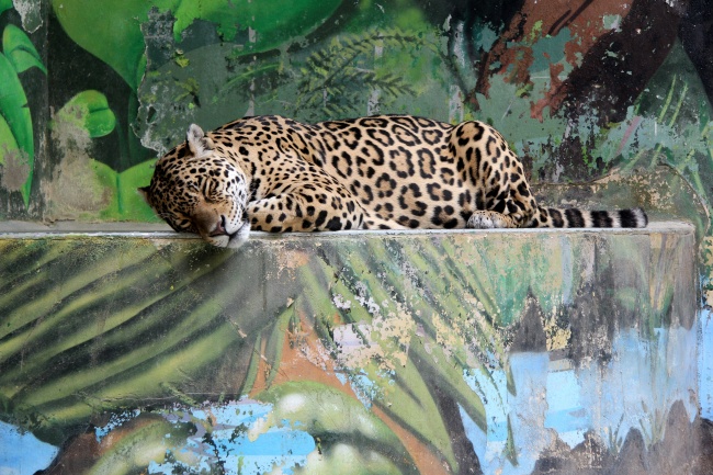 2025年4月祭祀最吉利好日子