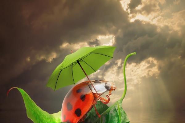 梦见床上有男人是什么意思?