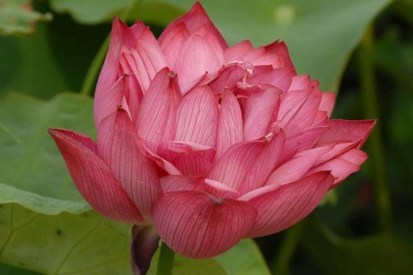 梦见生意亏了有什么意义吗