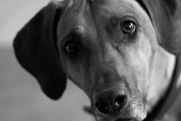 梦到开派对有什么意义吗