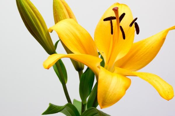 梦到了吃流水席代表着什么？