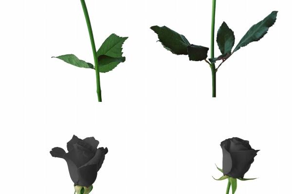 2025年5月最佳买房日子