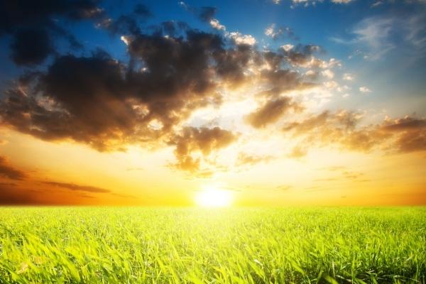 梦见房子被水泡了是什么征兆