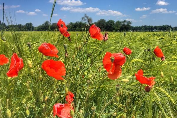 2025年5月开光好不好