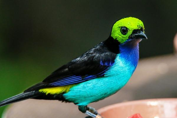 梦到刮刮乐中大奖的预兆