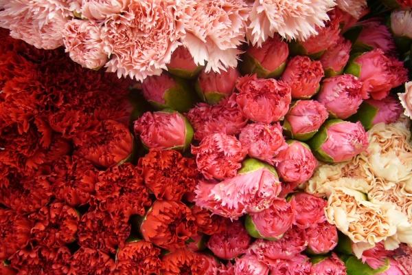 1972年属鼠人2025年全年运势