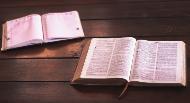 梦到了撞了会怎么样