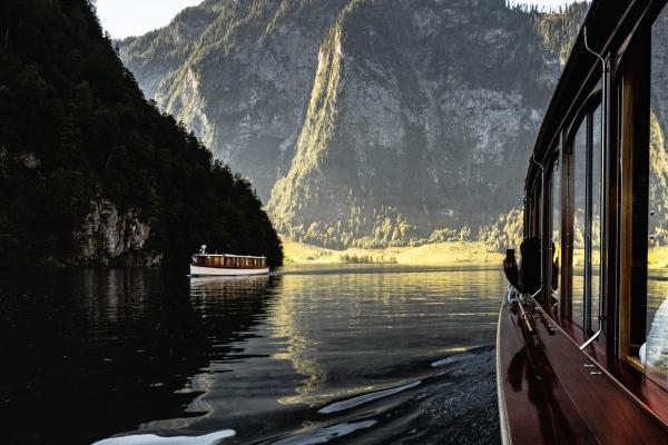 梦到好多猪仔是什么意思