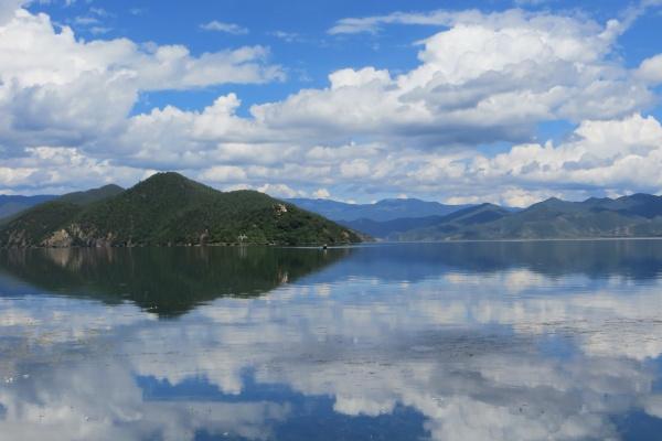 1981年属鸡人2025年运势