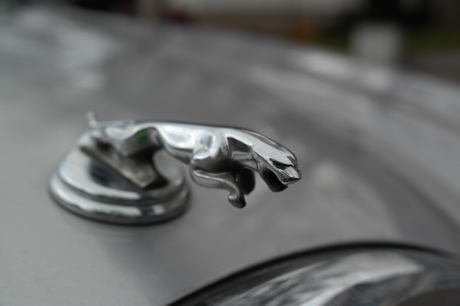 1990属马女35岁后命运