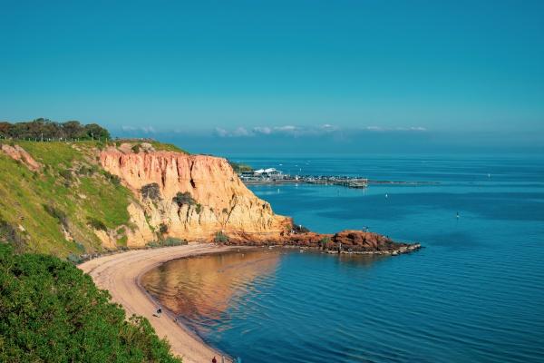 2025年1989属蛇的运势怎么样