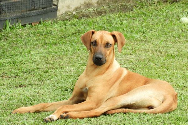 2025年97年属牛人的运势