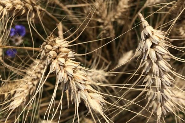 安床吉日2025年5月