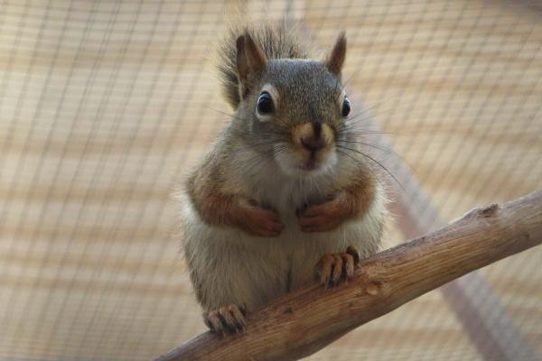 梦见别人感冒代表什么