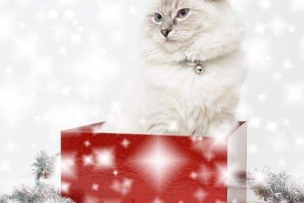 梦见别人给我搓澡是什么意思?