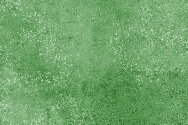 2025年兔犯太岁么