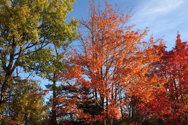 梦见路坑坑洼洼是啥预兆